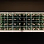 Quentin Carnaille, la marche du temps