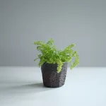 Richard Batterham, Cut sided bowl