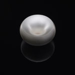 Adi Toch, Protrusion