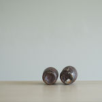 Ryoji Koie, Two Guinomi, 2010