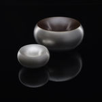 Adi Toch, Protrusion