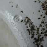 David Leach, Coffee Set