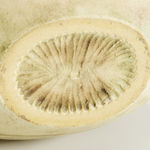 John Ward, Open Bowl