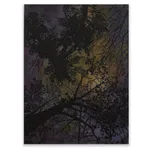 Reuben Paterson, Te Kāhu Mārama (Pavo Constellation),, 2025