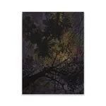 Reuben Paterson, Te Kāhu Mārama (Pavo Constellation),, 2025