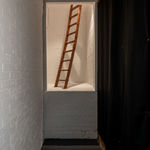 Motunrayo Akinola, Armadillo, 2025