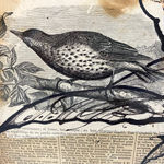 Carlos Guzman, Untitled, 1983