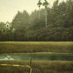 Diego Torres, Paisaje Campestre, 2005