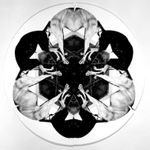 Paul Stoppi, Plato loves Trixie, 1999