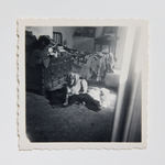 Dora Maar, Kazbek, Pablo Picasso's Dog, and Dora Maar's Little White Bichon - Paris (Kazbek, le chien de Pablo Picasso,...