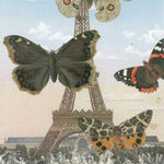 Peter Blake, Paris- Butterflies I, 2013