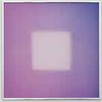 Brian Eno, Rose, 2016