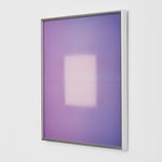 Brian Eno, Rose, 2016