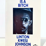 Linton Kwesi Johnson, Inglan is a Bitch, 1981