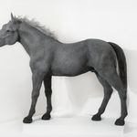 Thumbnail of additional image