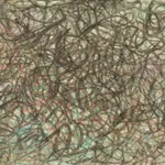 Hock-Aun Teh, The Chinese Emperor, 1977