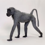 Kendra Haste MRSS, Walking Bengal Tiger, 2001