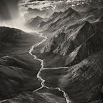 Ray McSavaney, Walking Trees, El Capitan Meadow, Yosemite, 1983