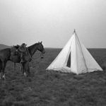 Kurt Markus, White Horse Ranch, 1984, printed 2010