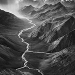 Ray McSavaney, Walking Trees, El Capitan Meadow, Yosemite, 1983