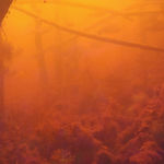 Melanie Smith, Spiral City, 2002