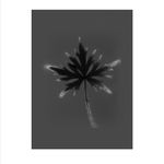 Marie-Jeanne Musiol, Miroir du cosmos (vidéo), 2006