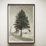 Roberto Pellegrinuzzi, Trajectoire ( lièvre 1)