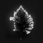 Marie-Jeanne Musiol, Miroir du cosmos (vidéo), 2006