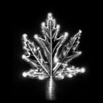 Marie-Jeanne Musiol, Miroir du cosmos (vidéo), 2006