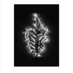 Marie-Jeanne Musiol, Miroir du cosmos (vidéo), 2006