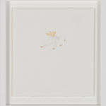 Ripley Whiteside, Spots