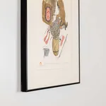 Pitseolak Ashoona, Sans titre (027-0424), 1959-1965