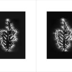 Marie-Jeanne Musiol, Miroir du cosmos (vidéo), 2006