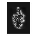 Marie-Jeanne Musiol, Miroir du cosmos (vidéo), 2006