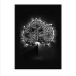 Marie-Jeanne Musiol, Miroir du cosmos (vidéo), 2006