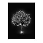 Marie-Jeanne Musiol, Miroir du cosmos (vidéo), 2006