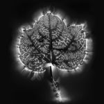 Marie-Jeanne Musiol, Miroir du cosmos (vidéo), 2006