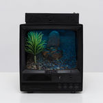 Sung Jik Yang, Yair, 2025