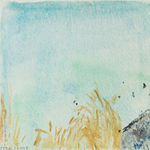 Jean Cooke, Looking down from the cliff at Birling Gap II, 2005, c.