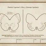 Tori Woolley, Losing Your Marbles 1