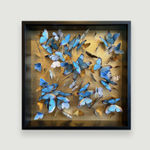 Daniel Byrne, Moonlight