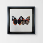 Nick Vivian, Wave Watching, 2025