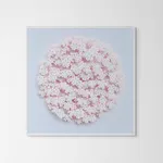 Graham Gosling, Kyujutsu Sakura 118 YA