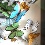 Daniel Byrne, Moonlight