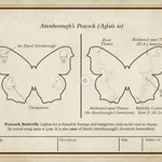 Tori Woolley, Losing Your Marbles 1