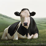 Francois Chartier, The Sky is the Limit