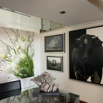 Francois Chartier, The Sky is the Limit