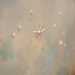 Chris Rivers, Hand-Finished Pisces, 2025