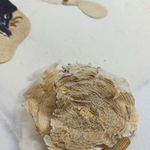 Saliha Beyza Umurca, Doğadan Yansıyan / Reflection of the Nature