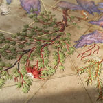 Saliha Beyza Umurca, Doğadan Yansıyan / Reflection of the Nature